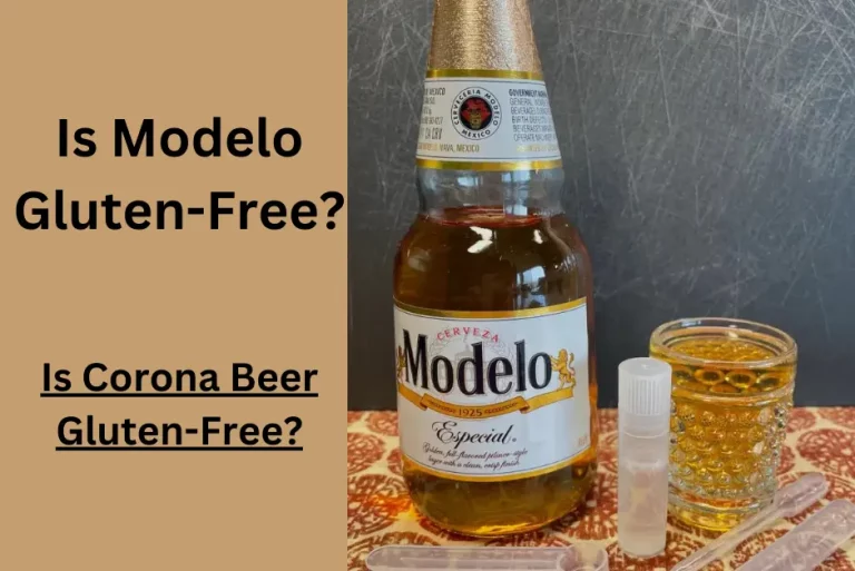 Is Modelo Gluten-Free? Ingredients And Nutritional Facts